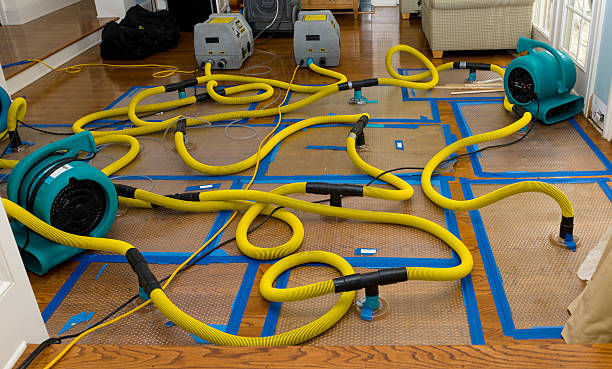 Professional Sewage Cleanup technician working in Hunter, OH